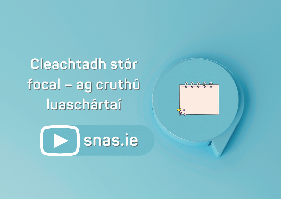 Cleachtadh stór focal – ag cruthú luaschártaí