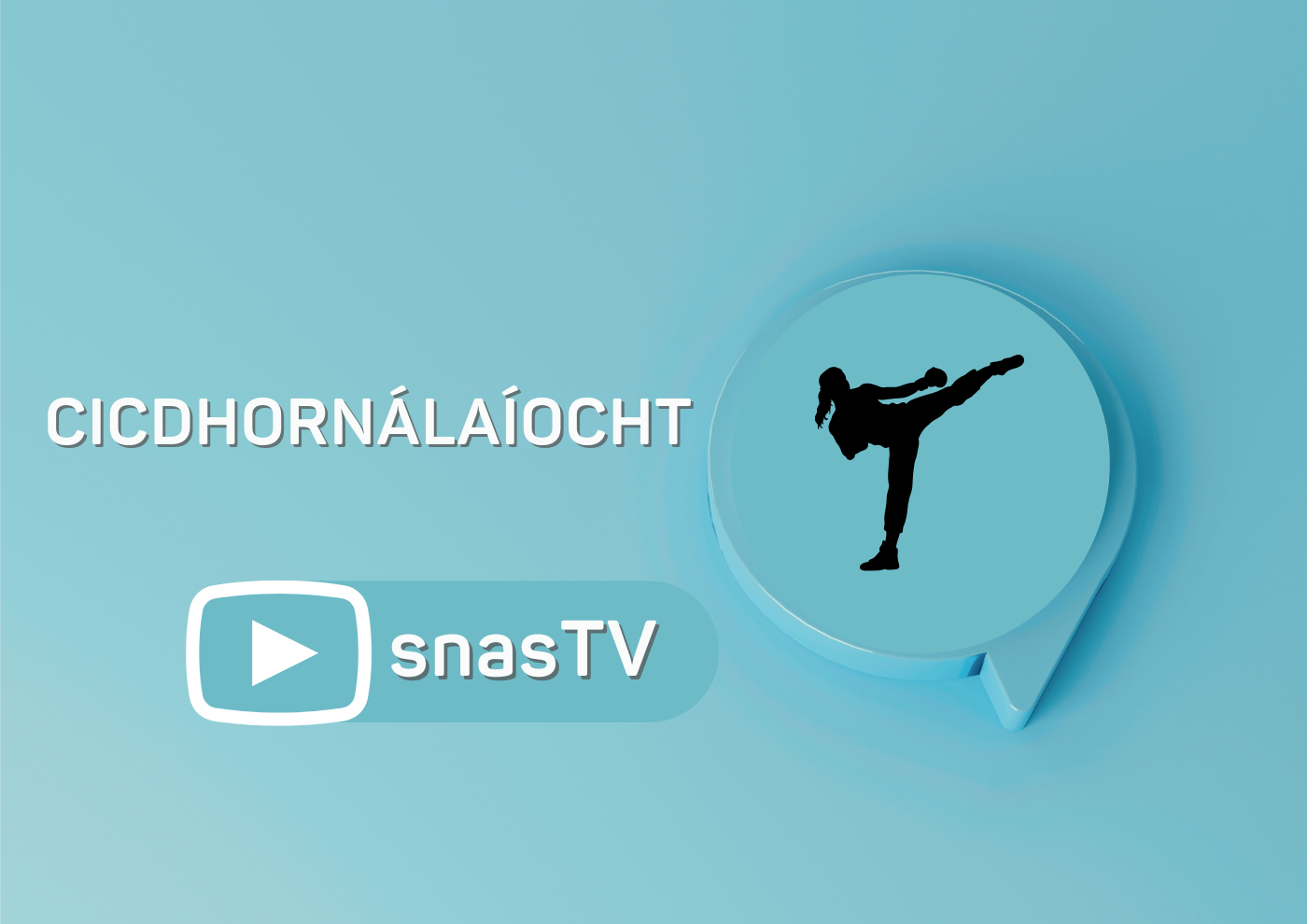 Cicdhornálaíocht