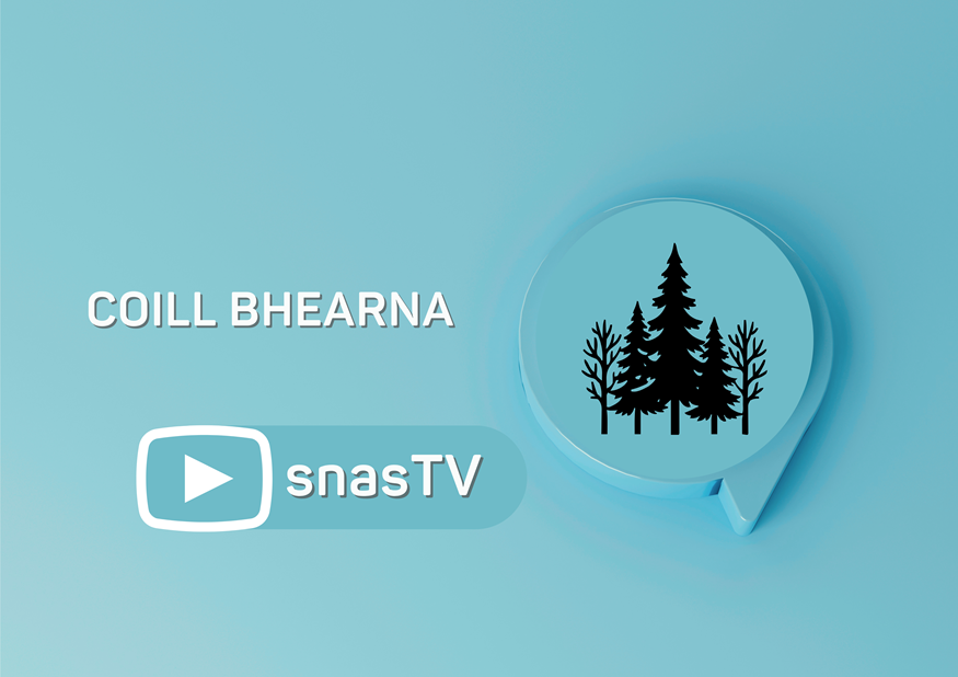 Coill Bhearna