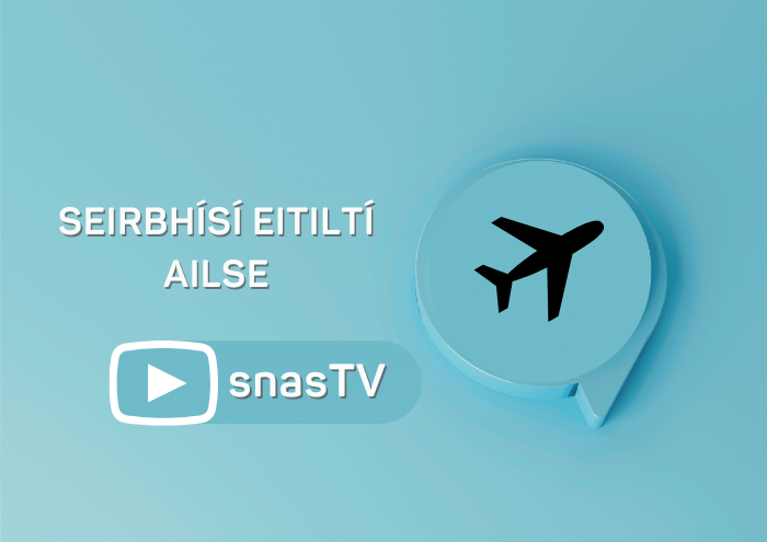 Seirbhísí Eitiltí Ailse